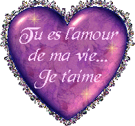 tu es l'amour de ma vie je t'aime